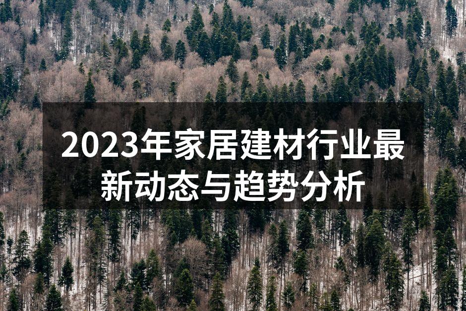 2023年家居建材行业最新动态与趋势分析