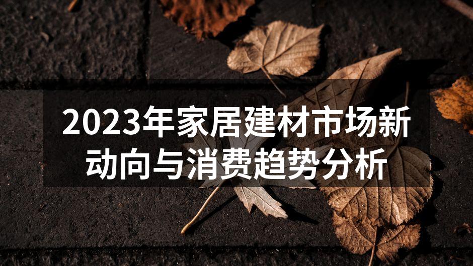 2023年家居建材市场新动向与消费趋势分析